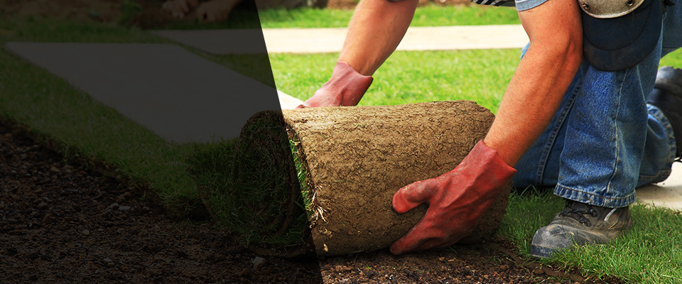 Mineral Wells Landscapers